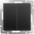 WL08-SW-2G-2W/Выключатель двухклавишный проходной (черный матовый) фото