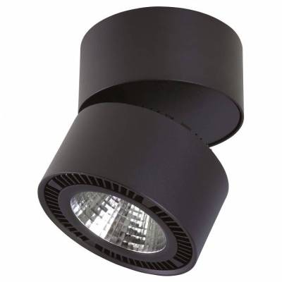 Спот Lightstar Forte Muro LED 214817 фото