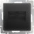 WL08-RJ45+RJ45 / Розетка двойная Ethernet RJ-45 (черный матовый) фото
