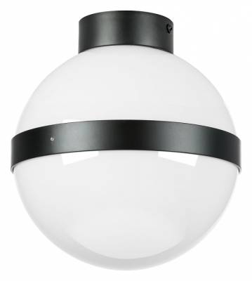 Накладной светильник Lightstar Globo 812117 фото