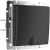 WL08-SKGSC-01-IP44 /Розетка влагозащ. с зазем. с защит. крышкой и шторками  (черный матовый) фото