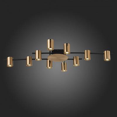 Потолочная люстра ST-Luce Veroli SL1207.402.10 фото