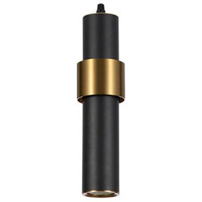 Подвесной светильник Arte Lamp Ran A3144SP-1BK фото