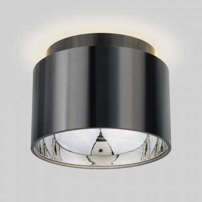 Накладной светильник Elektrostandard 1069 a053056 фото