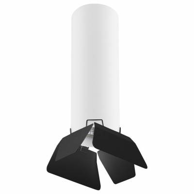 Накладной светильник Lightstar Rullo 3 R496437 фото