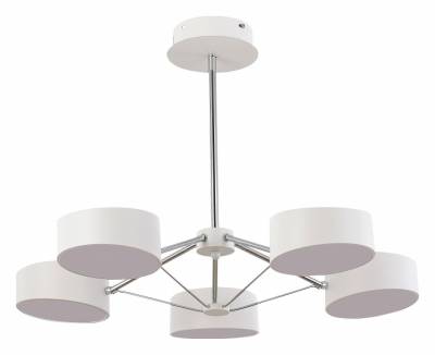 Люстра на штанге EVOLUCE Valle SLE6005-502-05 фото