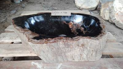 Раковины из окаменелого дерева 60-64 см