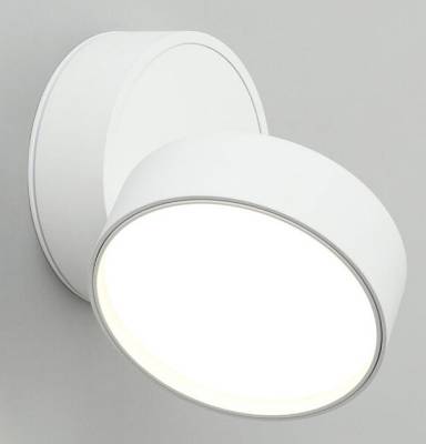 Спот Omnilux Lenno OML-101319-18 фото