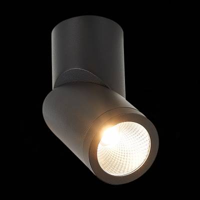 Светильник на штанге ST-Luce ST650 ST650.442.10 фото