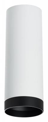 Накладной светильник Lightstar Rullo R4863437 фото