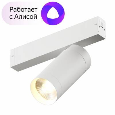 Светильник на штанге Denkirs Dk80 DK8020-WH фото