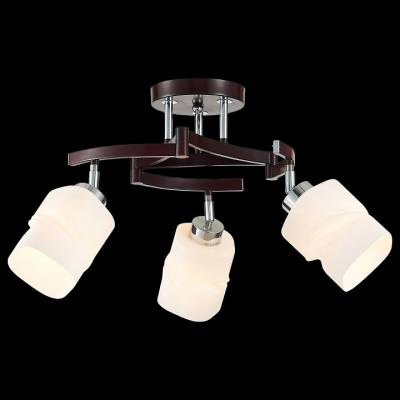 Потолочная люстра Citilux Берта CL126132 фото