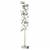 Торшер Loft it Matisse 10008F Grey фото