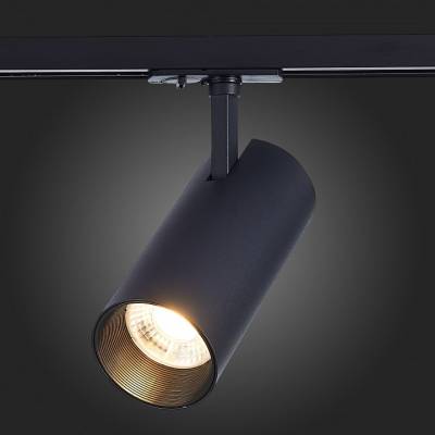 Светильник на штанге ST-Luce Mono ST350.446.30.36 фото