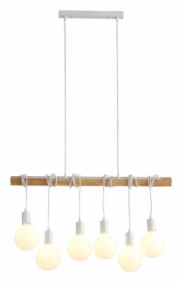 Подвесной светильник EVOLUCE Bagetti SL1142.503.06 фото