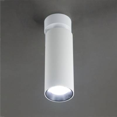 Спот Citilux Тубус CL01B120N фото