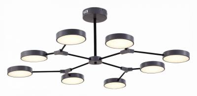 Люстра на штанге EVOLUCE Monta SLE6003-702-08 фото