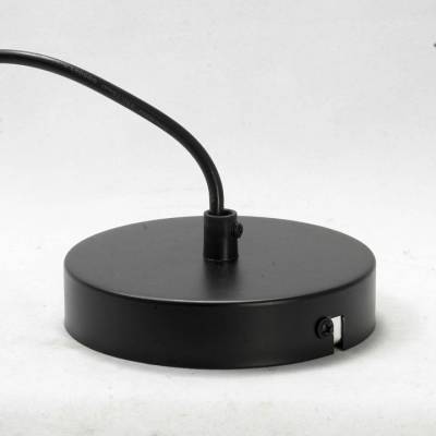 Подвесной светильник Lussole Badger LSP-9540 фото