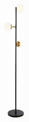 Торшер EVOLUCE Forli SLE220405-03 фото