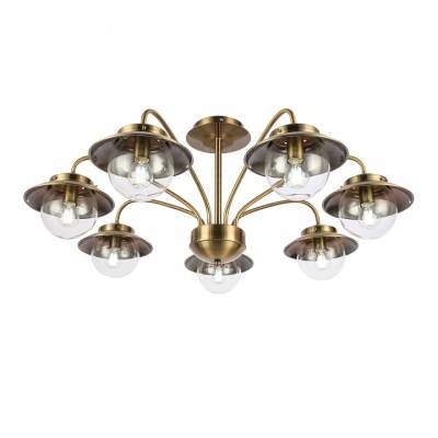 Потолочная люстра EVOLUCE Garonni SLE110102-07 фото