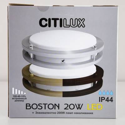 Накладной светильник Citilux Бостон CL709201N фото