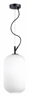 Подвесной светильник Odeon Light Roofi 4751/1 фото