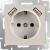 WL03-SKGS-USBx2-IP20 / Розетка с заземлением, шторками и USBх2 (слоновая кость) фото