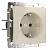 Розетка влагозащищенная с заземлением без рамки Werkel Слоновая кость W1171103 фото