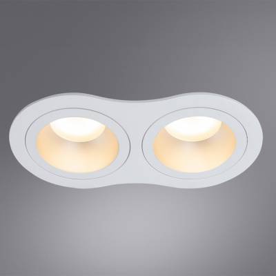 Встраиваемый светильник Arte Lamp Alkes A2161PL-2WH фото