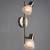 Спот Arte Lamp Parry A5062AP-2AB фото