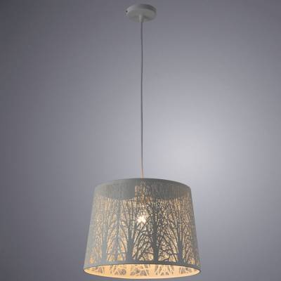 Подвесной светильник Arte Lamp Celesta A2769SP-1WH фото