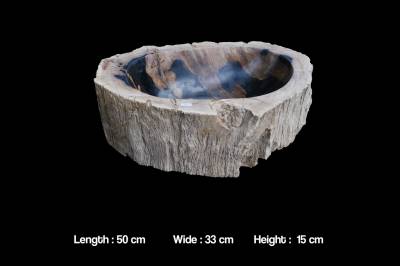 Раковины из окаменелого дерева 50-54 см