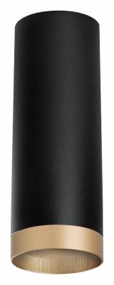 Накладной светильник Lightstar Rullo R48740 фото