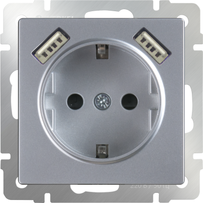 WL06-SKGS-USBx2-IP20 / Розетка с заземлением, шторками и USBх2 (серебряный) фото