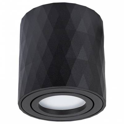 Накладной светильник Arte Lamp Fang 2 A5559PL-1BK фото