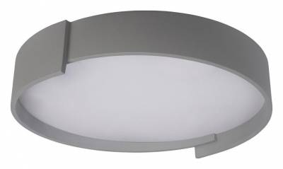 Накладной светильник Loft it Coin 10200 Grey фото