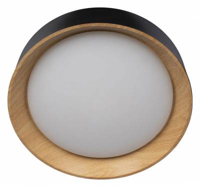 Накладной светильник Loft it Coin 10202 Black фото