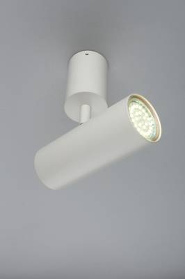 Спот Aployt Berenis APL.007.02.01 фото