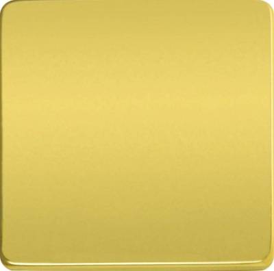 фото переключатель одноклавишный (с 2-х мест)  цвет: светлое золото