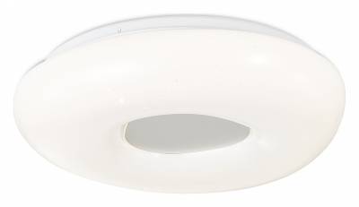 Накладной светильник SIMPLE STORY 1203 1203-LED24CL фото