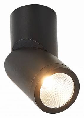 Светильник на штанге ST-Luce ST650 ST650.432.10 фото