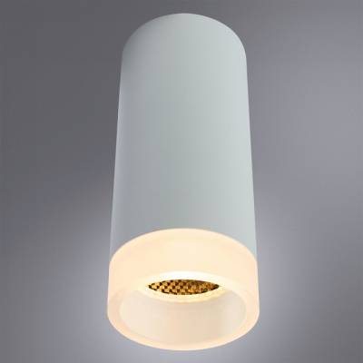 Накладной светильник Arte Lamp Ogma A5556PL-1WH фото