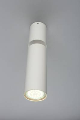 Спот Aployt Berenis APL.007.02.01 фото