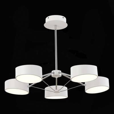 Люстра на штанге EVOLUCE Valle SLE6005-502-05 фото