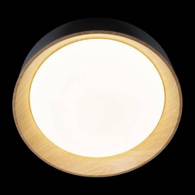 Накладной светильник Loft it Coin 10202 Black фото