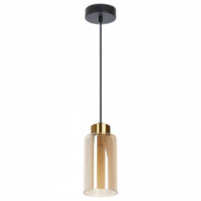 Подвесной светильник Arte Lamp Leo A7027SP-1BK фото