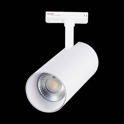 Светильник на штанге ST-Luce Mono ST350.536.30.24 фото