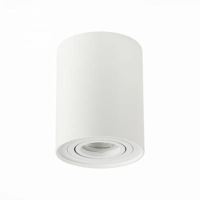 Спот ST-Luce Torus ST108.517.01 фото