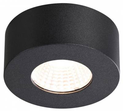 Накладной светильник Odeon Light Bene 4283/7CL фото