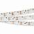 Лента светодиодная Arlight RS 2-5000 24V Warm3000 2x2 15mm (3014, 240 LED/m, LUX) 024471